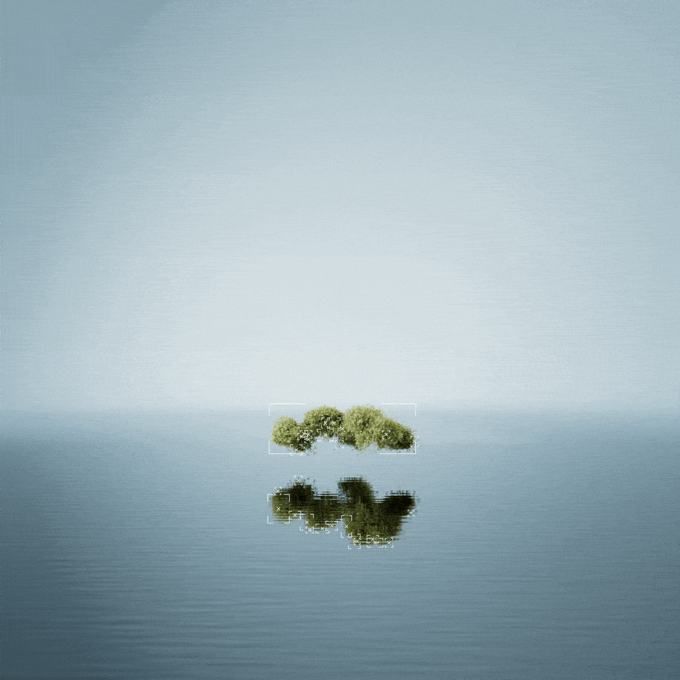 Advect Grass Data_1