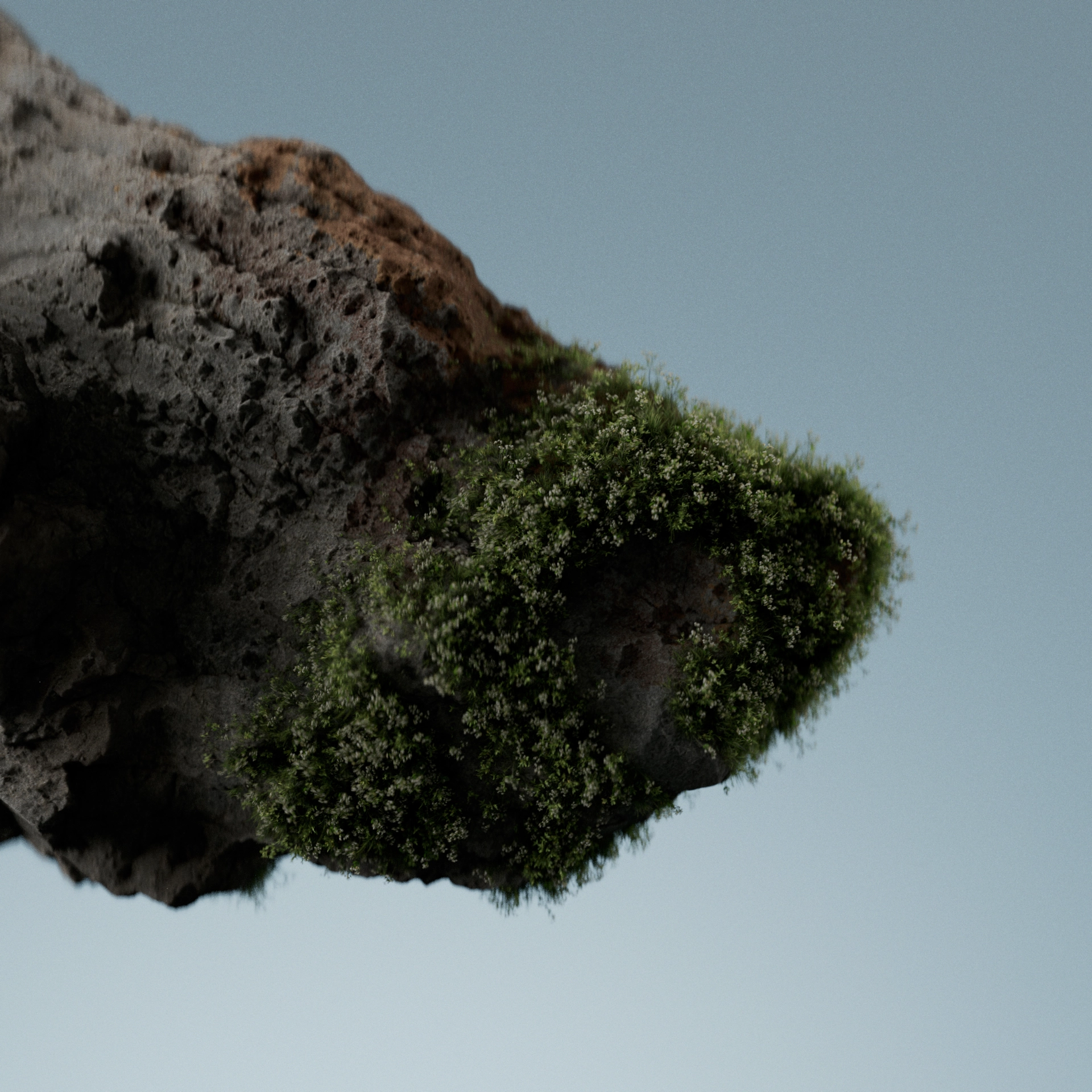 Forever Green 1-1 (00267)