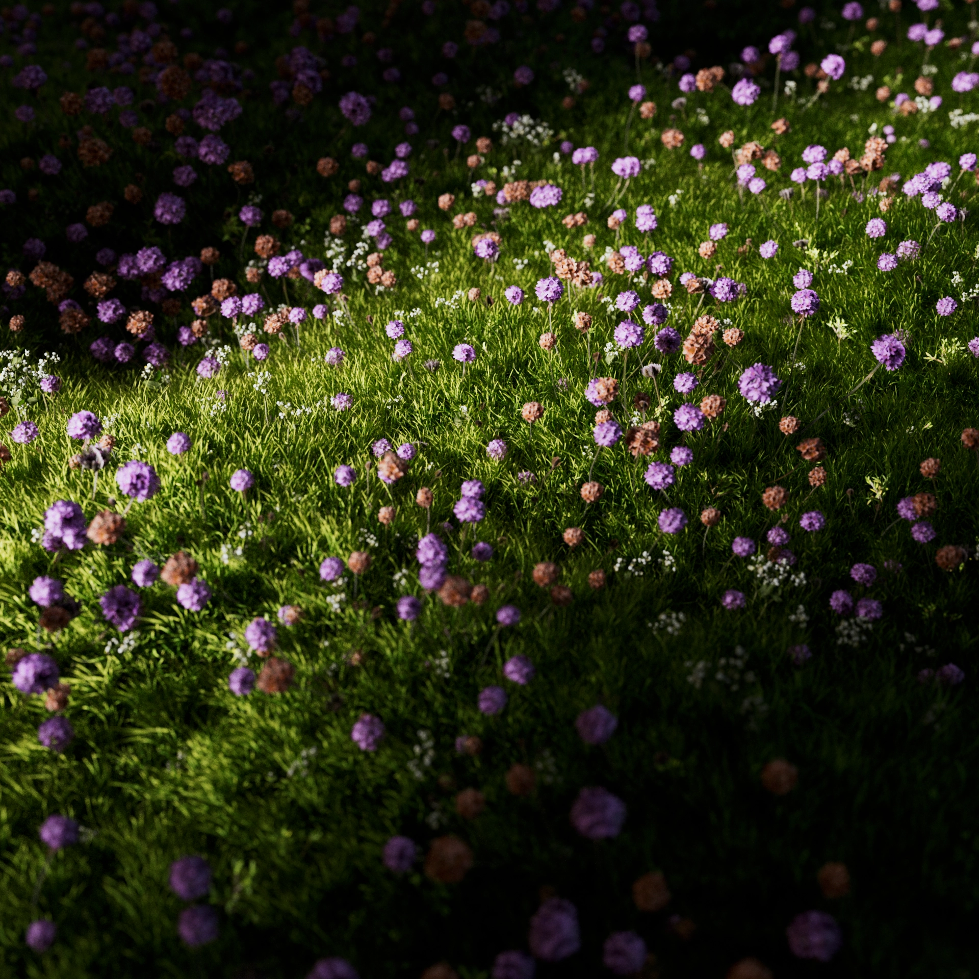 Forever Green 1-1 (00751)