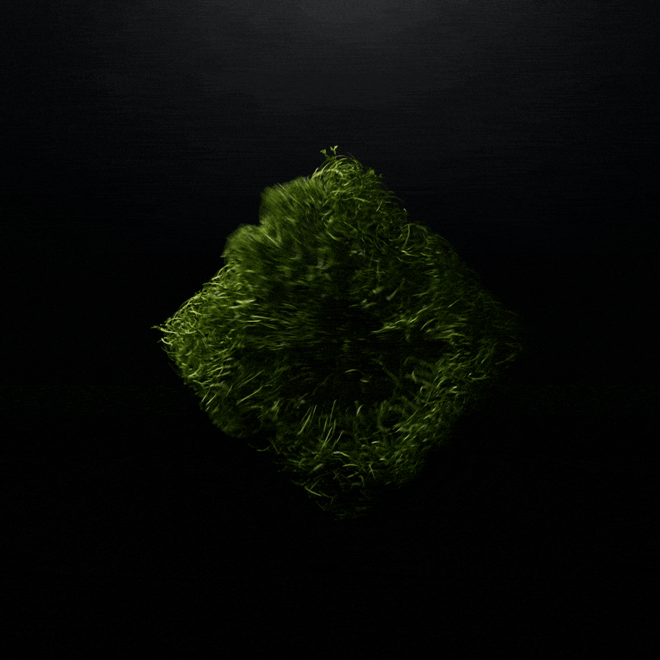 Forever Green 1_1_3