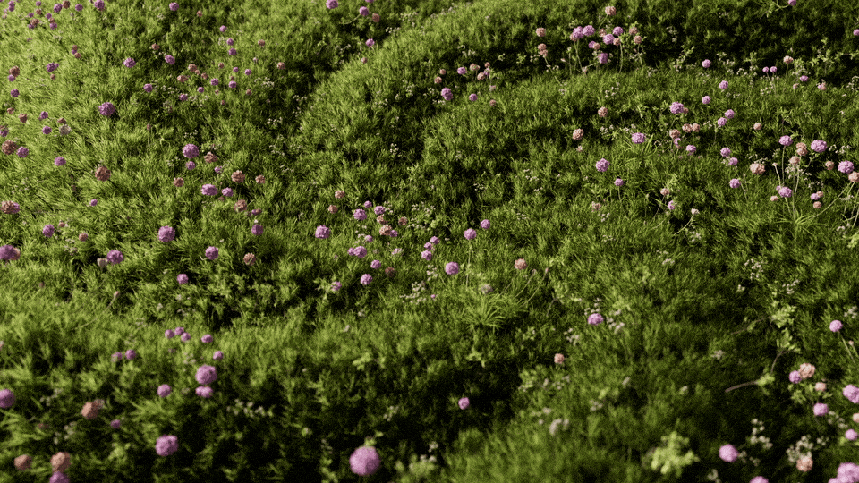 Rock Cloth 2_1