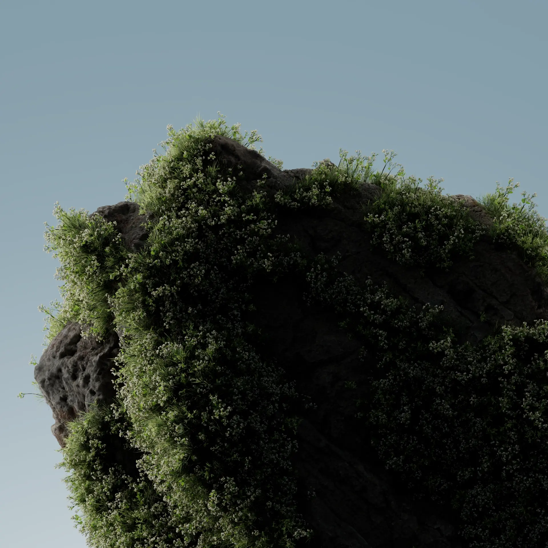 Snapshot 1 denoise